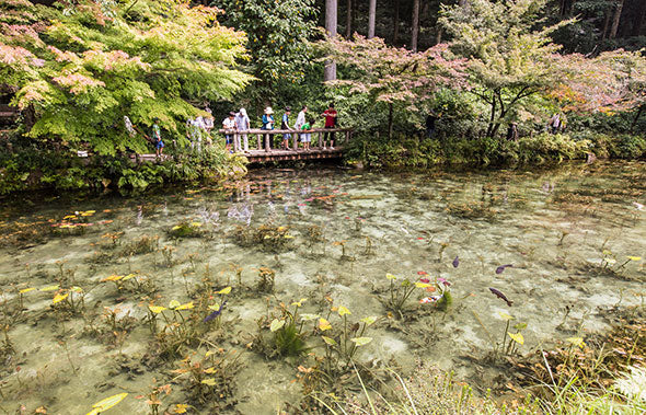 El estanque de Monet en Seki